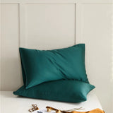 Yeknu  Luxurious 60S Lyocell pillowcase single product summer ice silk cool pillow case single pillowcase a pair.