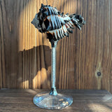 Yeknu  Handmade Shell wine glass conch cup design niche cocktail glass goblet ins style light luxury