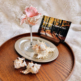 Yeknu  Handmade Shell wine glass conch cup design niche cocktail glass goblet ins style light luxury