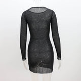 Yeknu  Sheer Long Sleeve Women Dress Spring Summer Short Dress Round Neck Solid Color Tight Sexy Cover-ups Transparent Beach Vestidos