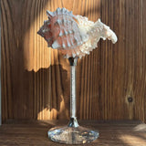 Yeknu  Handmade Shell wine glass conch cup design niche cocktail glass goblet ins style light luxury