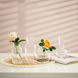 Yeknu  8/16 Pieces of Modern Transparent Glass Vase Set, Small Mini Flower Center Vase, Hand-Decorated Cute Short Window Home Decoration, Wedding Reception Table Single Rose Vase