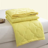 Yeknu 2025 new washed cotton summer quilt skin-friendly grinding summer cool quilt printing student dormitory air conditioner quilt