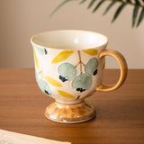 Yeknu  Ceramic Gift Cute Mug, Home Personal Office Creative Blueberry Pomegranate Retro Milk Water Coffee Cup, 500ml, 1Pc