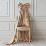 Yeknu  Mehofond Photography Background Elegant Pink Orange Bow Aldult Birthday Wedding Maternity Portrait Decor Backdrop Photo Studio