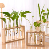 Yeknu Hydroponic Plants Container with Wood Frame Transparent Glass Test Tube Vase Flower Pot Home Tabletop Bonsai Decorations Crafts